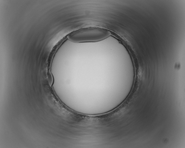 X0000110670877200907021844