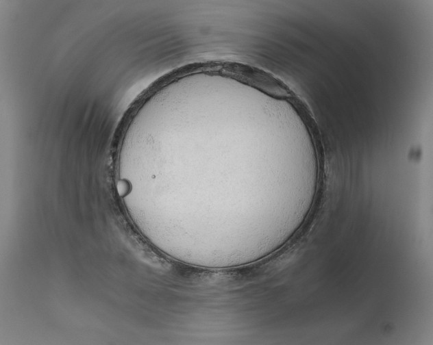 X0000110670879200907021844