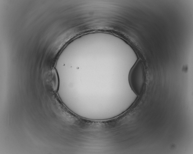 X0000110670881200907021844