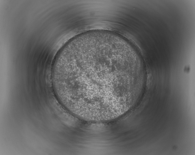 X0000110670882200907021843