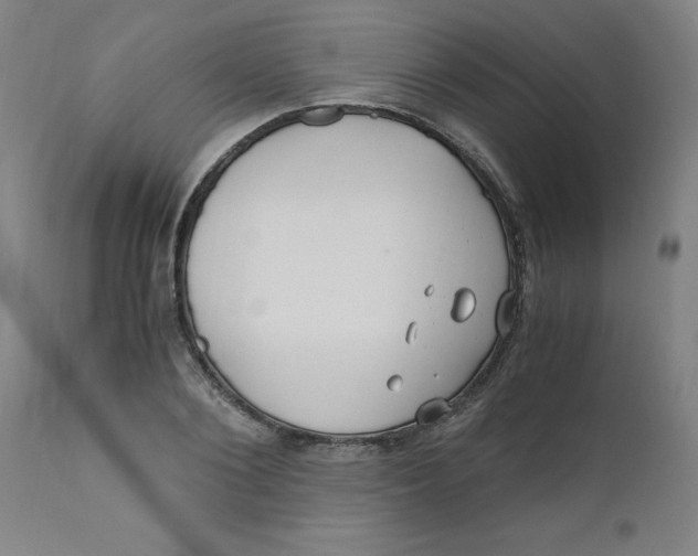X0000110670884200907021843