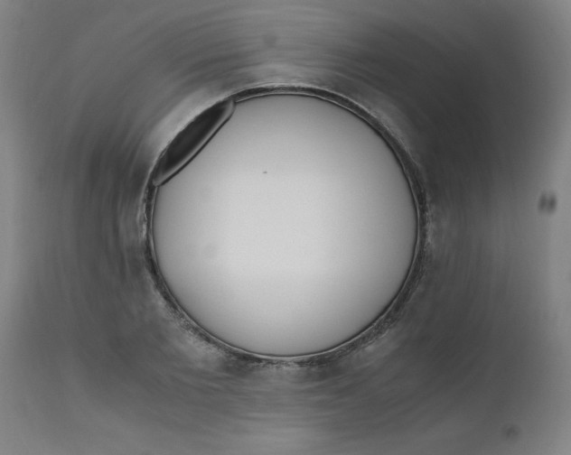 X0000110670885200907021843