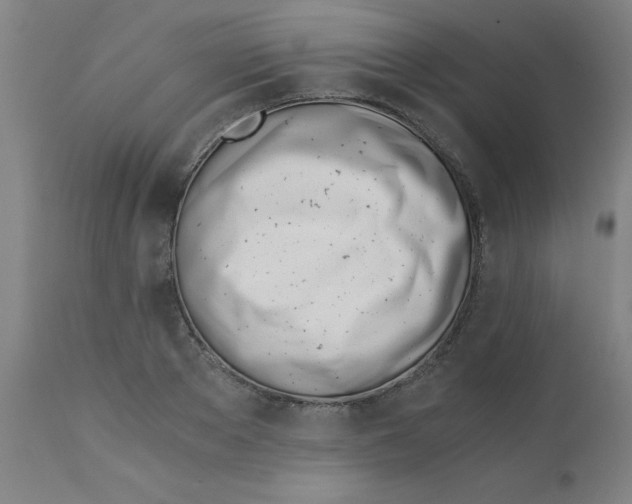X0000110670889200907021843