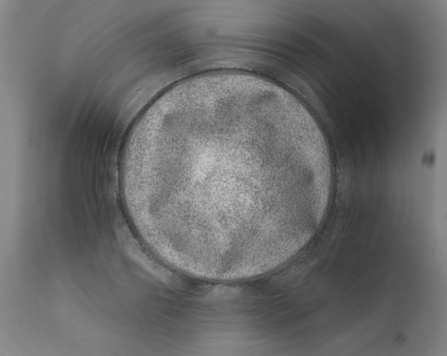 X0000110670890200907021843