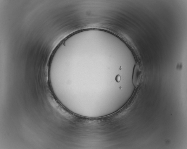 X0000110670892200907021843