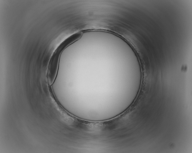 X0000110670893200907021843
