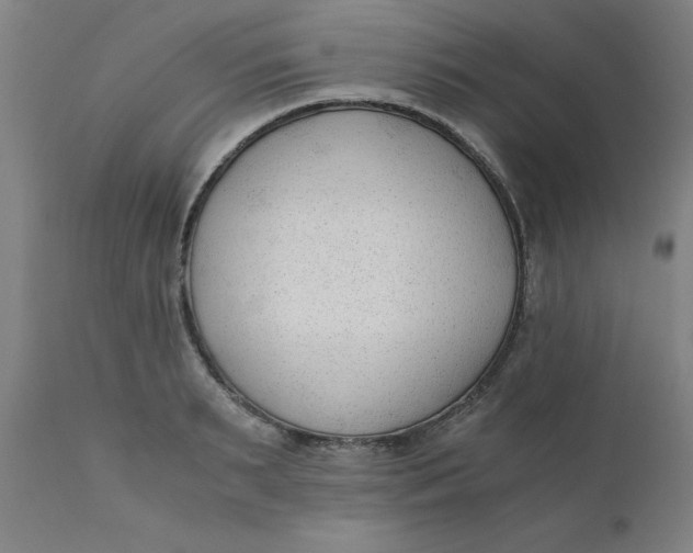 X0000110670895200907021843