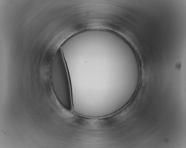 X0000110670897200907021843
