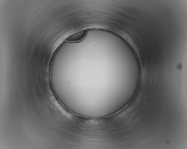 X0000110670898200907021843