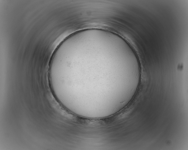 X0000110670899200907021843