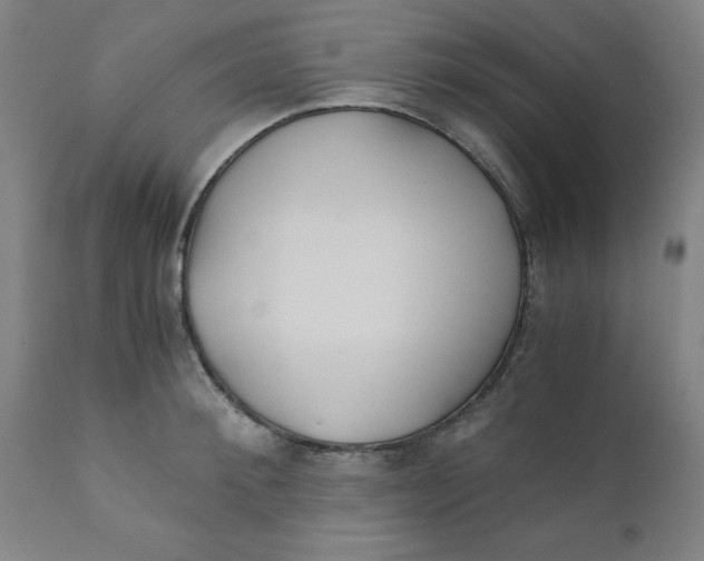 X0000110670900200907021843