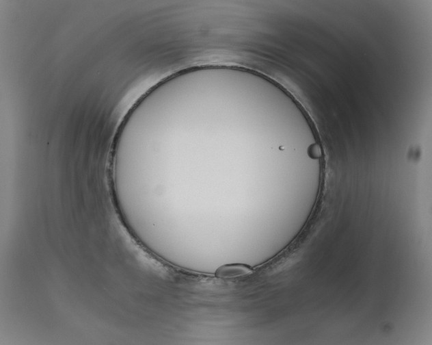 X0000110670901200907021843