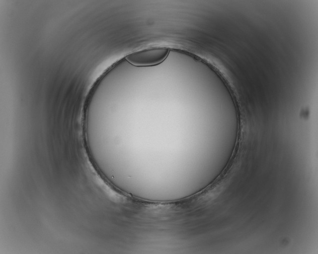 X0000110670902200907021843