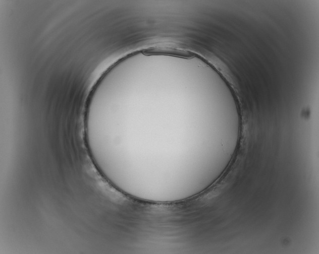 X0000110670904200907021843