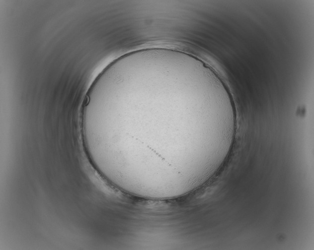X0000110670907200907021843