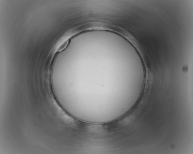 X0000110670909200907021843