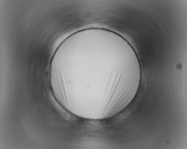 X0000110670911200907021843