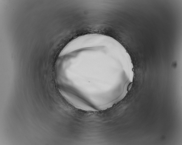 X0000110670913200907021842