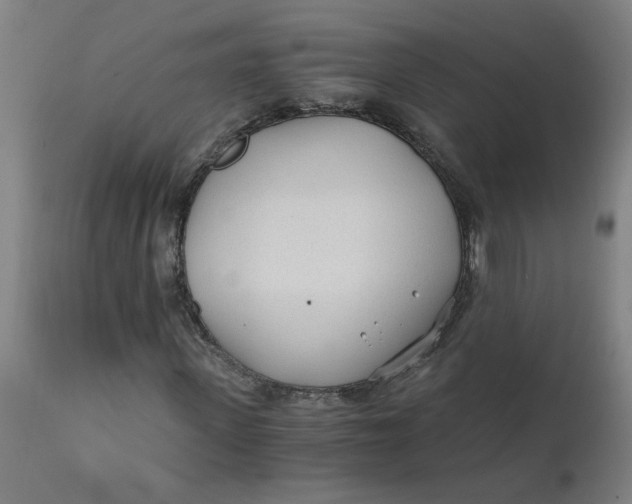 X0000110670915200907021842