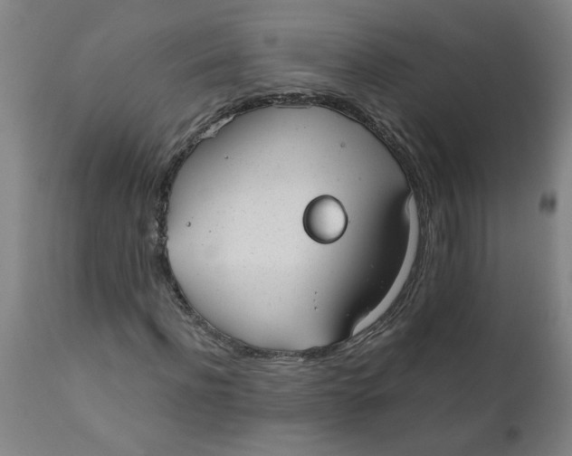 X0000110670916200907021842