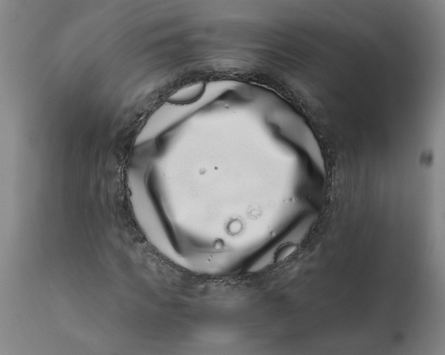 X0000110670917200907021842