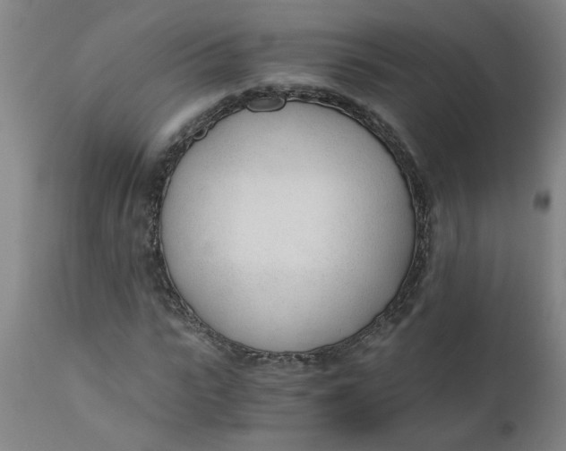 X0000110670919200907021842