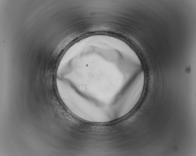 X0000110670921200907021842