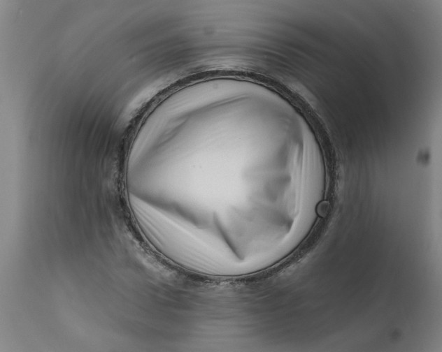 X0000110670922200907021842