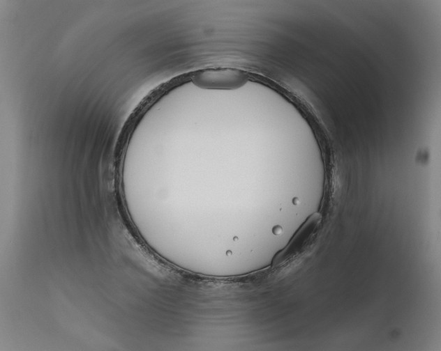 X0000110670924200907021842