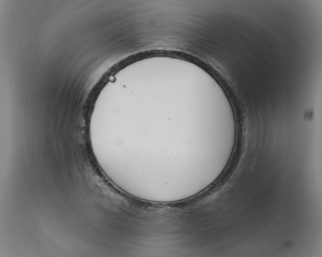 X0000110670926200907021842