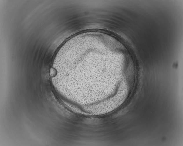 X0000110670929200907021842