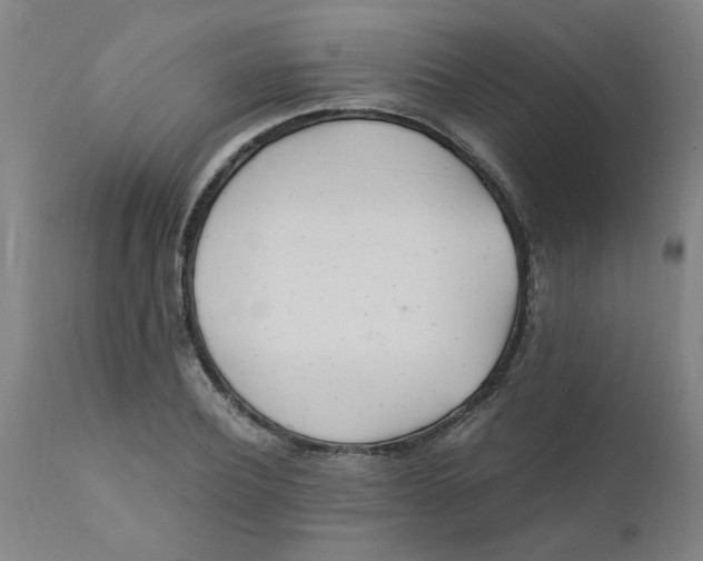 X0000110670932200907021843