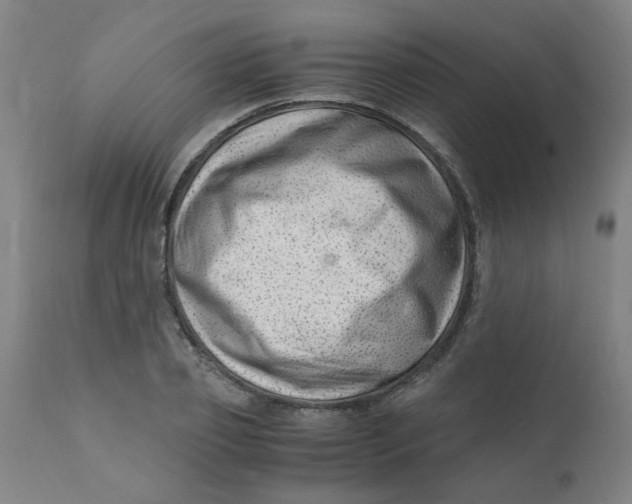 X0000110670933200907021843