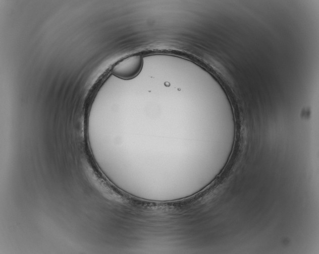 X0000110670934200907021843