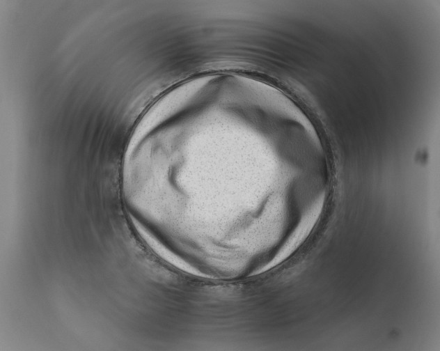 X0000110670937200907021843