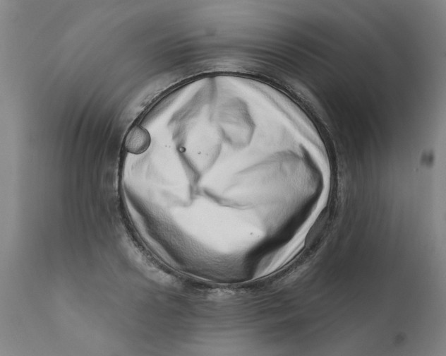 X0000110670938200907021843