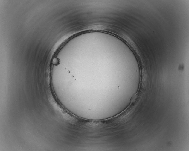 X0000110670939200907021843