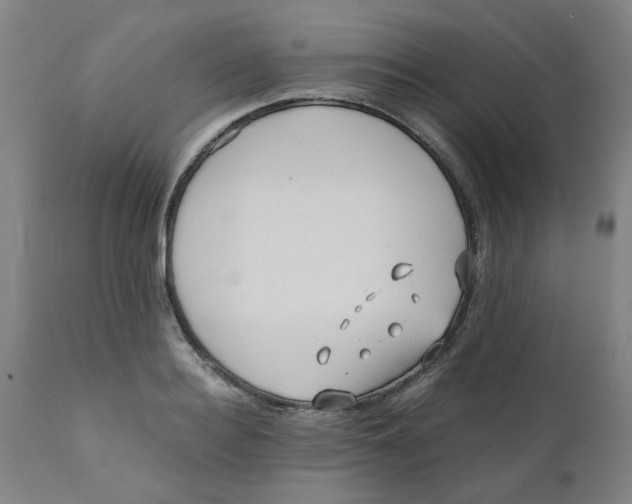 X0000110670940200907021843