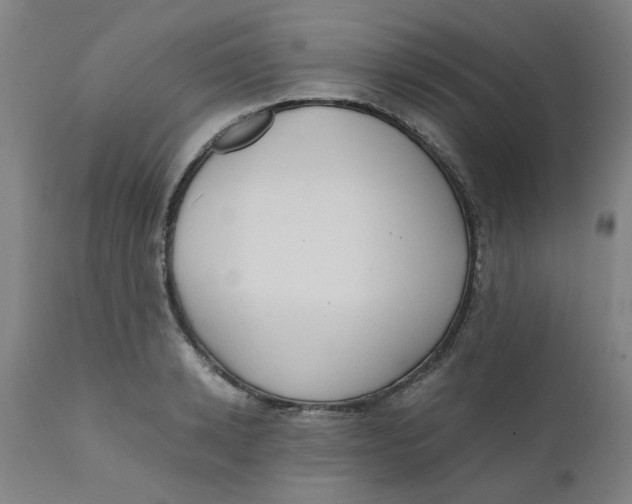 X0000110670942200907021843