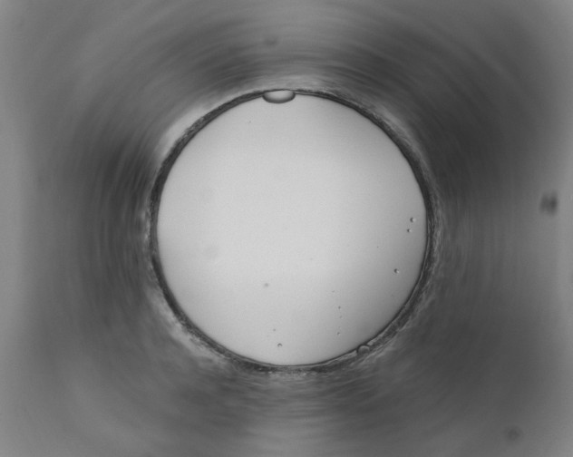 X0000110670944200907021843