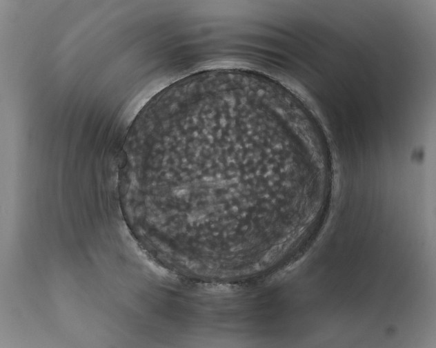 X0000110670945200907021843