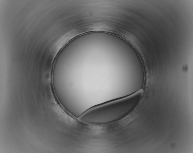 X0000110670946200907021843