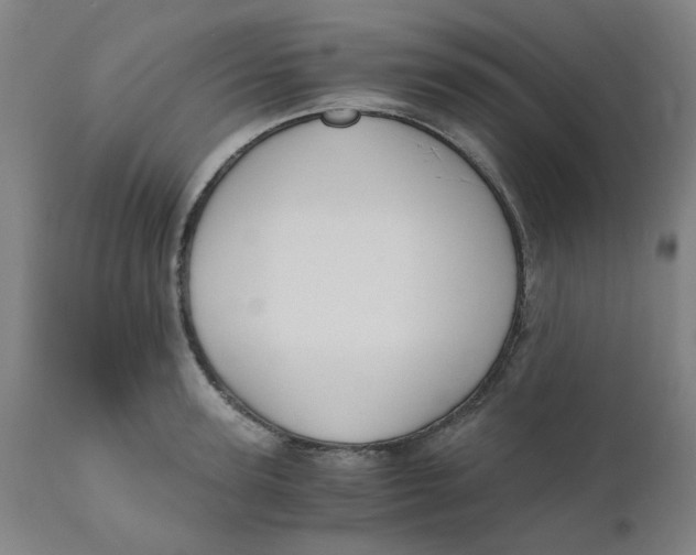 X0000110670947200907021843