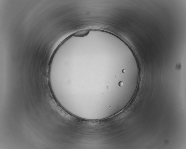 X0000110670948200907021843