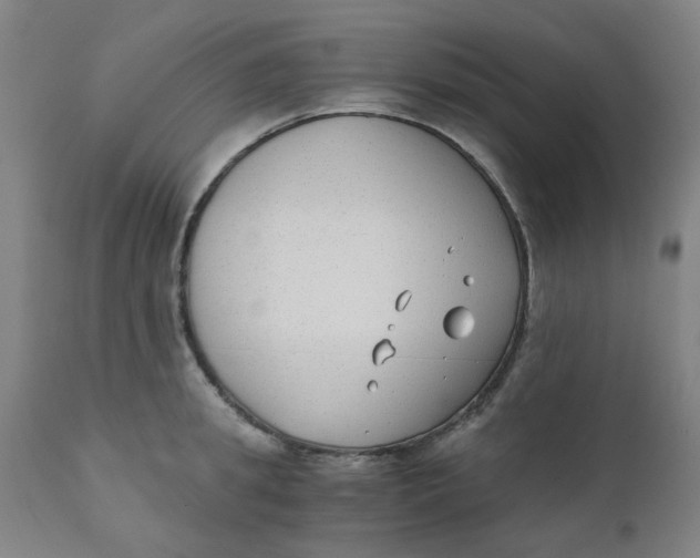 X0000110670949200907021843