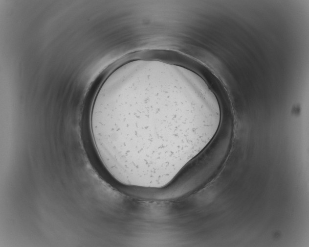 X0000110670952200907021843