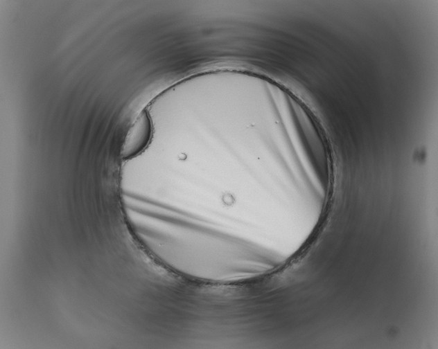 X0000110670953200907021843