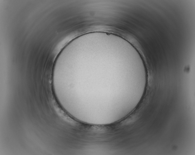 X0000110670954200907021843