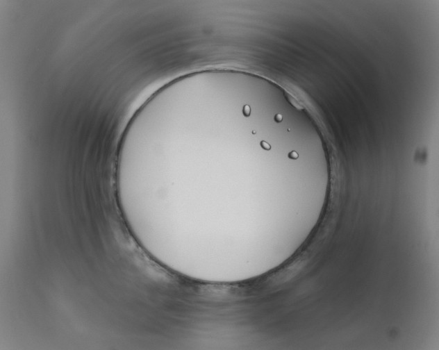 X0000110670956200907021843