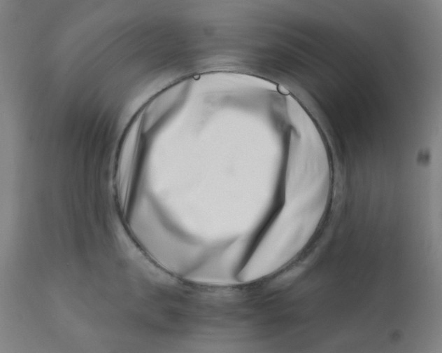 X0000110670957200907021843